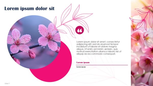 Free Cherry Blossom Season Presentation Template